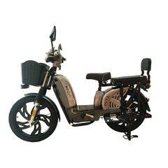 Електровелосипед Crosser E-Delta 800W 60V-15A Lead-Acid шини 17"-17" купити в інтернет-магазині